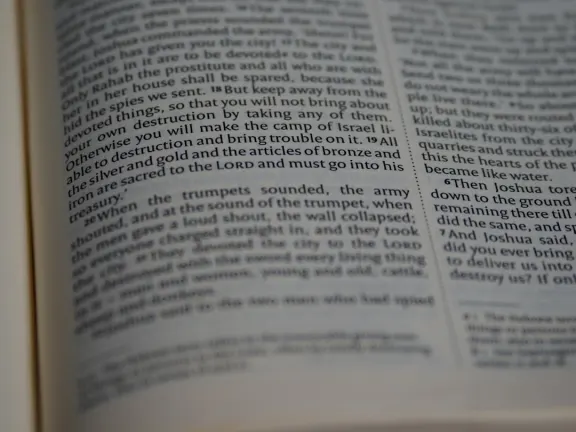 Hejgo Casino Assistance